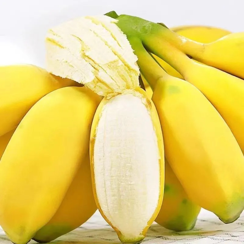 Guangxi Apple Banana Banana Fresh Fruit Whole Box 2.5kg Free Shipping Seasonal Small Bananas Drop Shipping