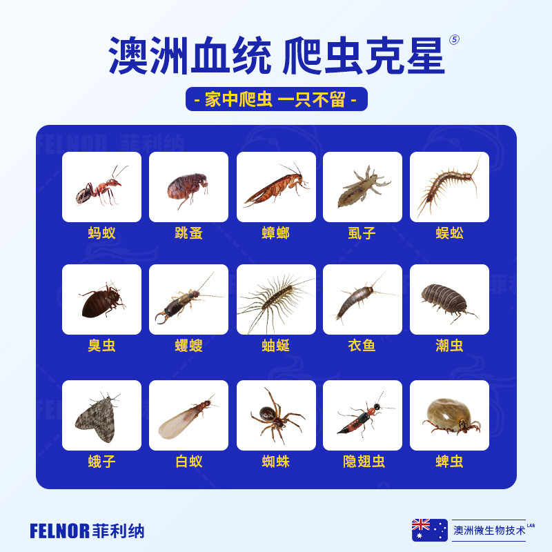 Insecticide Household Cockroach Medicine to Kill Centipedes, Fleas, Whole Nest Bed Indoor Insecticide