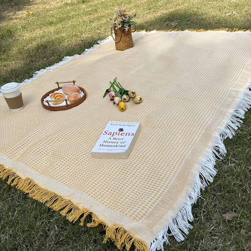 Camping blanket outdoor lawn mat camping equipment egg roll tablecloth nap blanket cross-border tent moisture-proof picnic mat