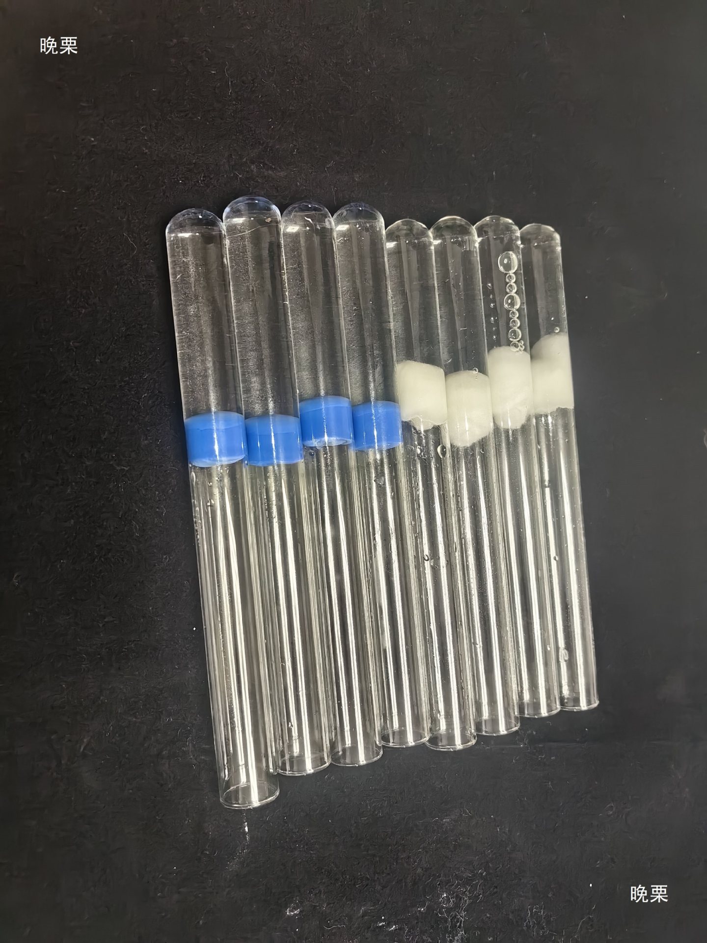 Ant Water-Blocking Sponge Water-Blocking Test Tube 151820 Caliber Water-Blocking Test Tube Is Clean, Hygienic and Recyclable
