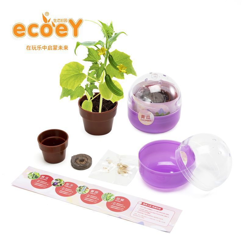 Toy Blind Box Wholesale Gashapon Machine Set Egg Ball DIY Potted Plant Children's Small Gifts Educational Hands-On Blind Box Series