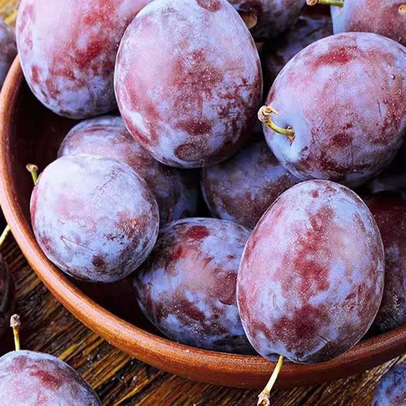 Fresh Prunes from Kashgar, Xinjiang, Super Sweet Goddess Prunes, Fresh Fruit Plums 0.5kg Cross-Border E-Commerce Factory Direct Delivery