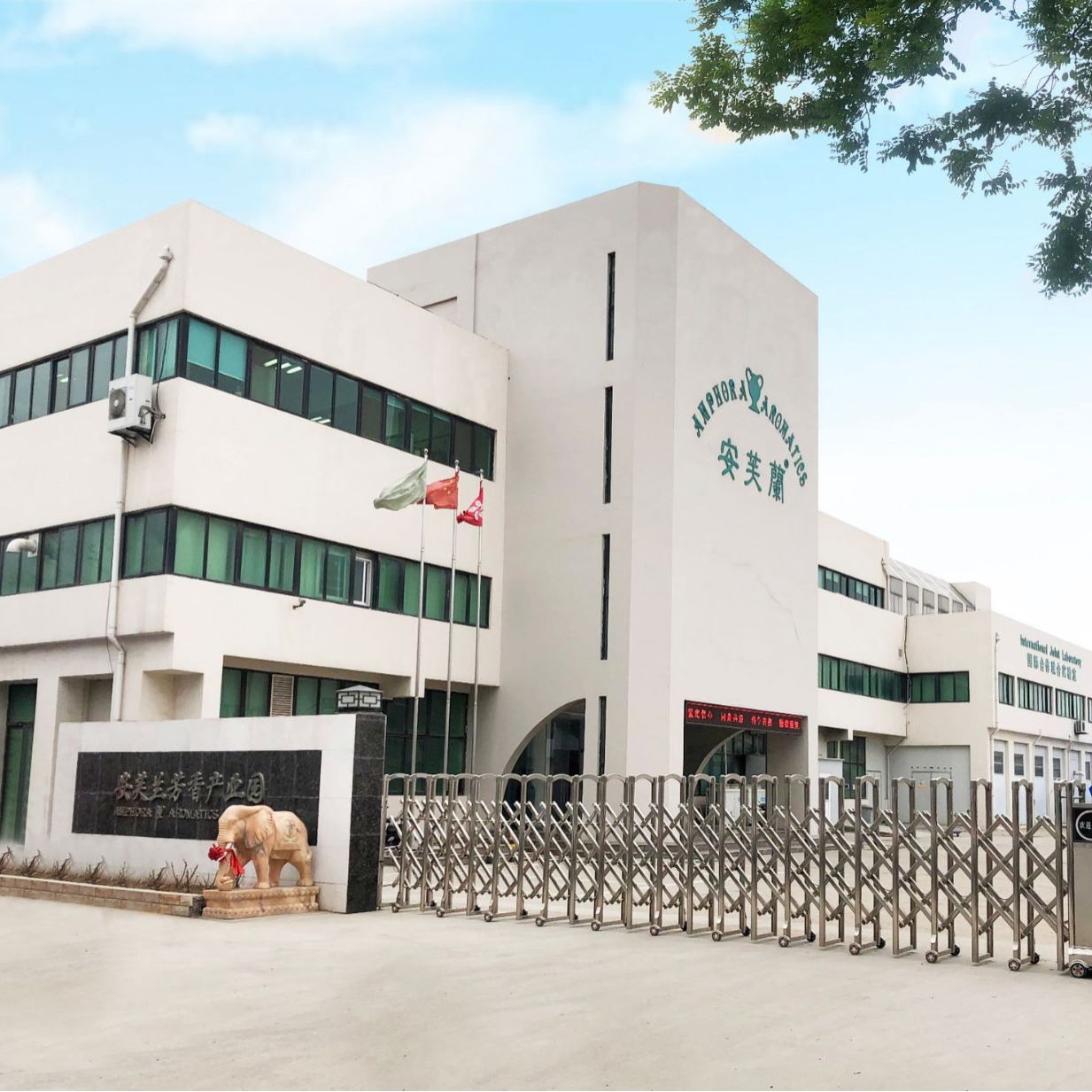 Women's Rejuvenating Essential Oil Manufacturer Raw Materials Production Skin Body Massage Cosmetics Registration Aliexpress Cross-Border