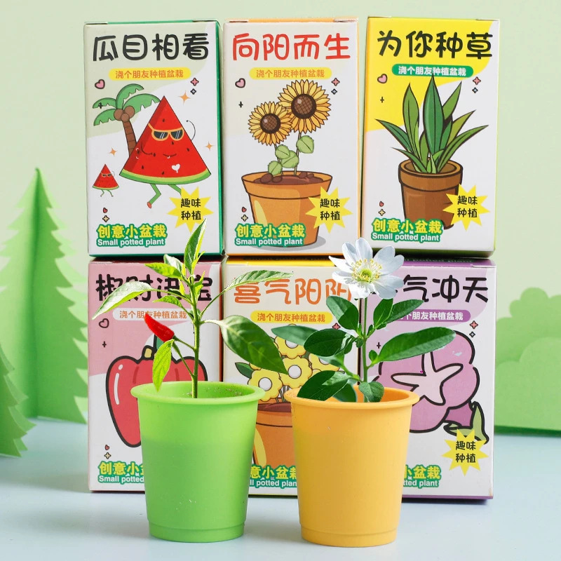cartoon planting blind box potted office indoor flower seed flower grower plant growth observation diy experiment gift