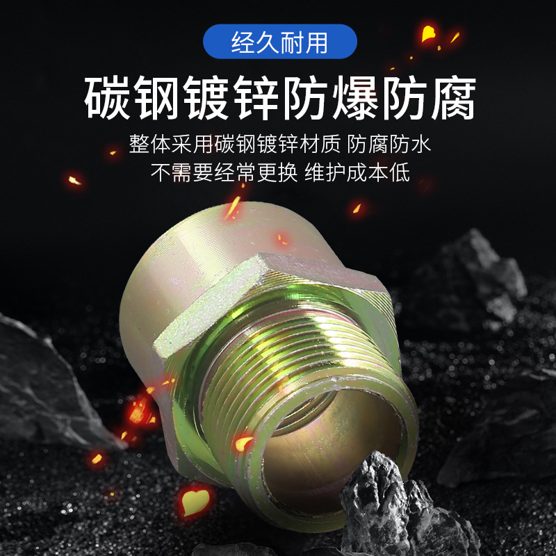 Explosion-Proof Pipe Joint Bgy 4 Points/6 Points, One End Internal and One End External, Two Internal Thread to Wire Joint Explosion-Proof Flexible Pipe
