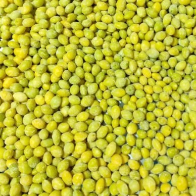 Frozen Ginkgo Nuts, Frozen White Nuts, Ground Grains, Porridge, Soy Milk Raw Materials, No Additives, Dried Ginkgo Nuts, Source Factory