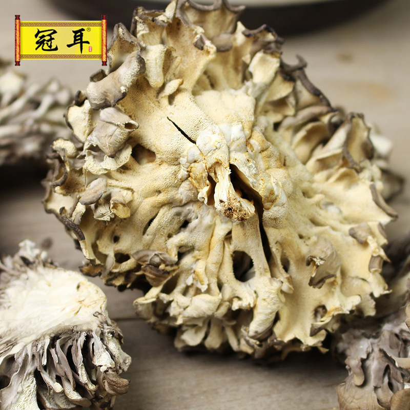 Gutian Grifola frondosa Grifola mushroom dried goods wholesale thousand bergamot Mushroom Maitake farm produce mushroom origin direct batch