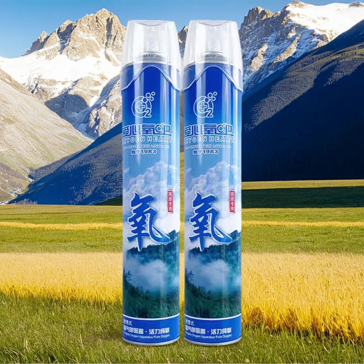 Love Oxygen Bar Portable Medical Oxygen Supplier Sfk-3*1000Ml (Oxygen Bottle) Travel Elderly Pregnant Women