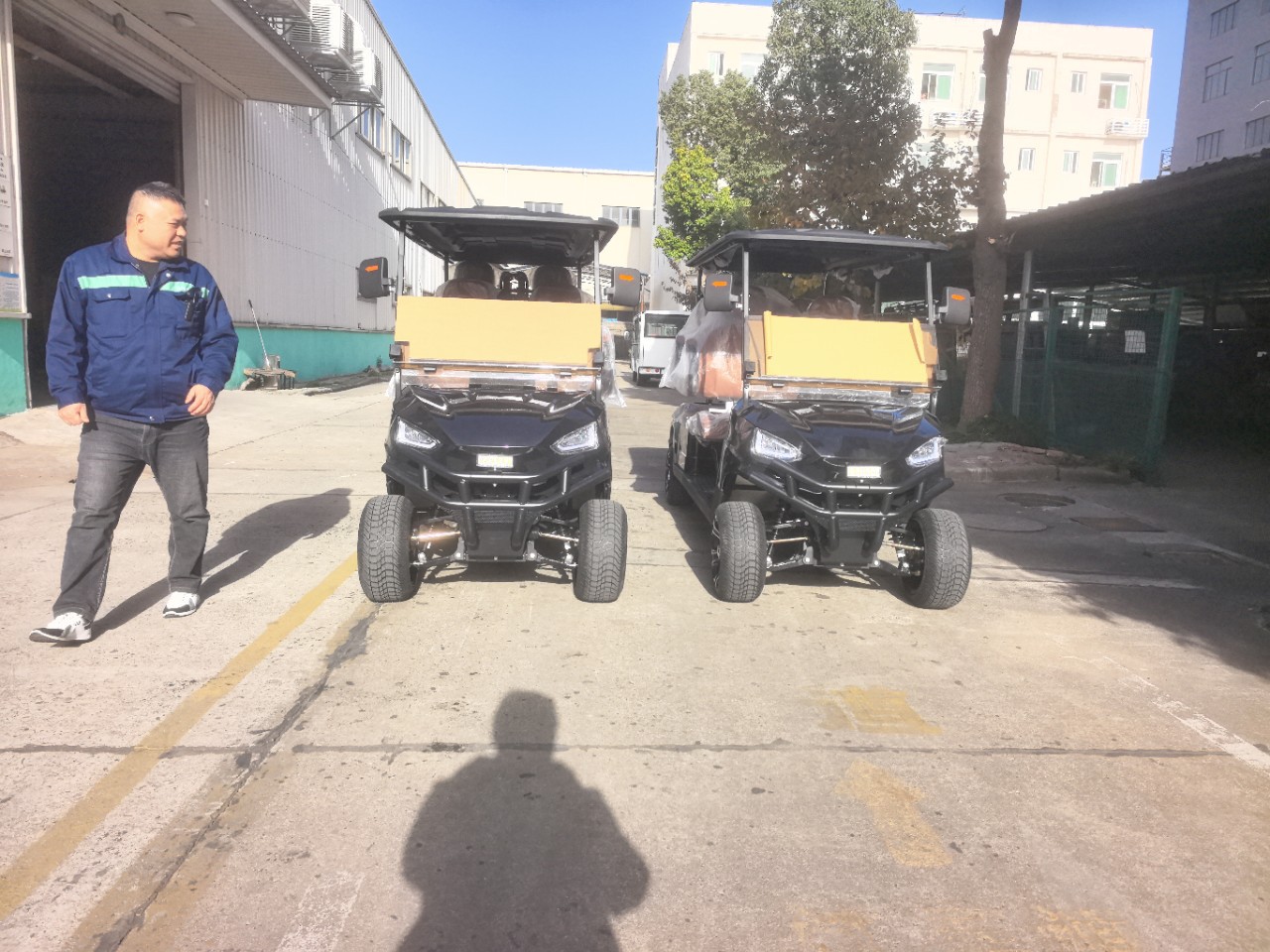 6 Seats 8 Seats Electric Golf Cart Sightseeing Car for Hotel Use Customer Reception Electric Vehicle