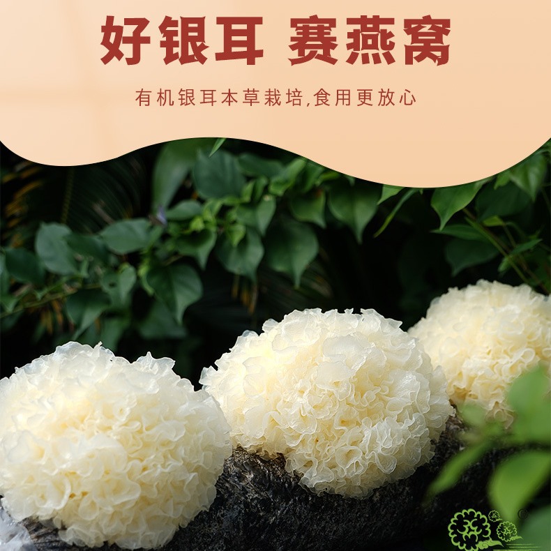 Herbal Tremella Oem Source Manufacturer Oem Customization Gutian Organic Herbal Tremella No-Cook Ready-To-Eat