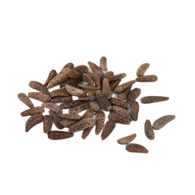 Burdock Seeds 500g, Dali Seeds, Burdock Seeds, Chinese Medicinal Materials Supply, Dali Seeds, Burdock Seeds, 2 Pieces, Free Shipping