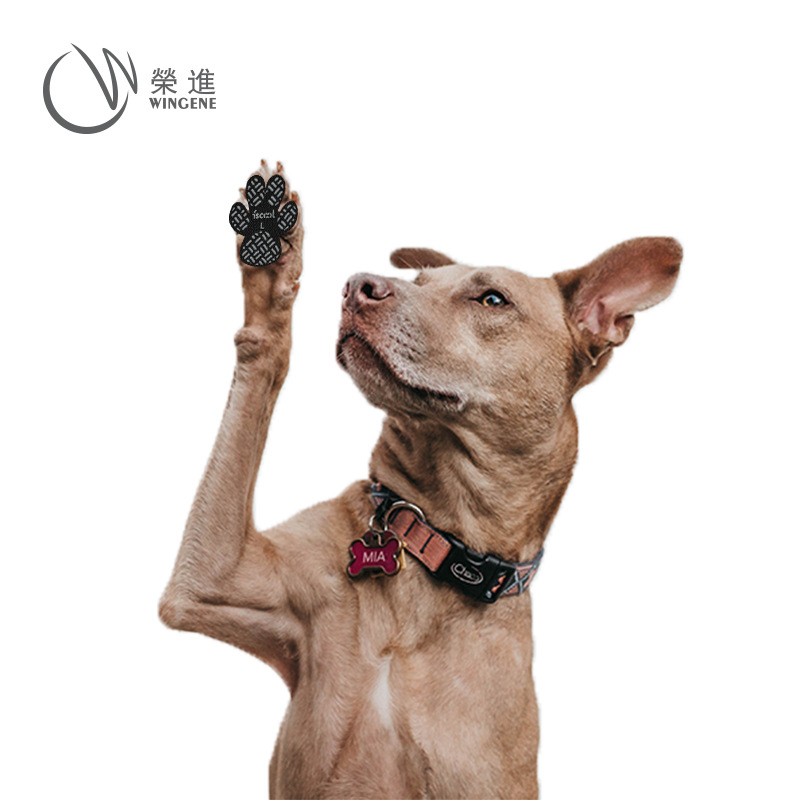 Manufacturer's New Pet Products Breathable Dog Foot Patch Non-Slip Waterproof Dog Insole Dog Shoes Cross-Border Amazon