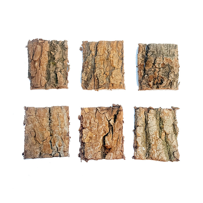 Chinese Medicinal Materials Eucommia Ulmoides Bark Eucommia Ulmoides Sichuan Thick-Skinned Brushed Eucommia Ulmoides Slices Soaked in Wine Chinese Medicinal Materials Wholesale