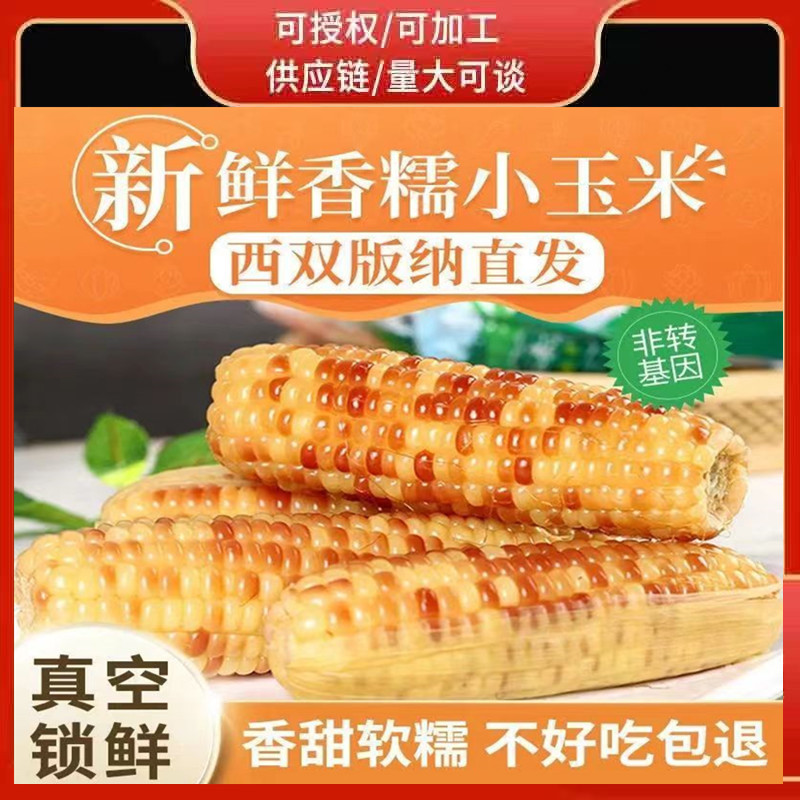 Сяошуанбана маленькая цветочная клейкая кукуруза маленькая кукуруза юньнаньская специальность завтрак замена еды оптовая свежая кукуруза вкусная ароматная клейкая