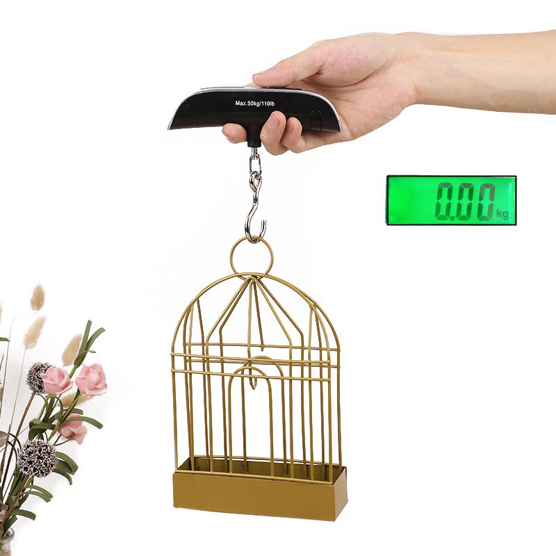 Household Portable Electronic Scale 50kg Express Scale Luggage Scale Electronic Portable Scale Fishing Scale
