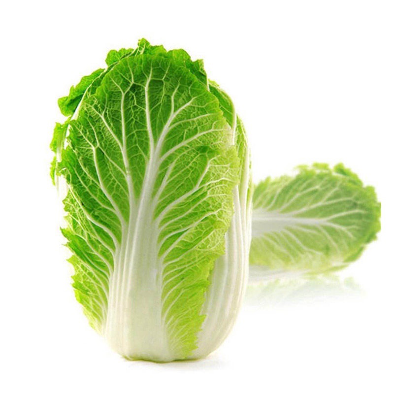Fresh Cabbage, Bok Choy, and Green Cabbage from Inner Mongolia Can Be Used to Make Spicy Cabbage, Sauerkraut, Hearted Cabbage, and Head Cabbage
