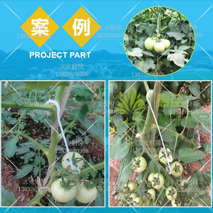 Fruit Ear Hook, Tomato, Tomato, Fruit Ear Hook, Vine Tie, Vine Clip, Vine Fixed Seed Buckle (Supports Sub-Package)