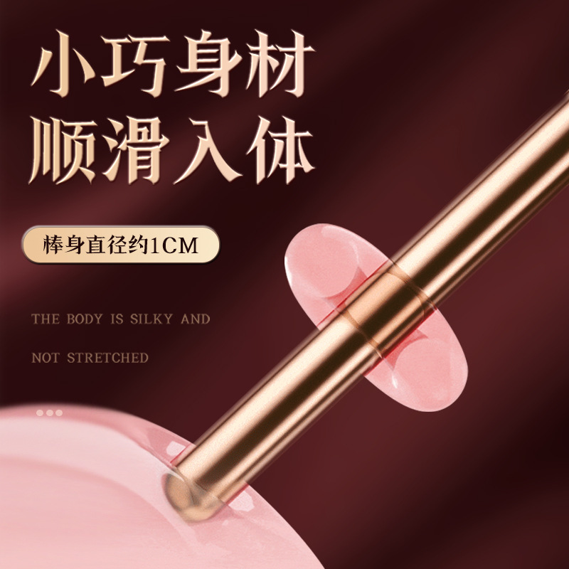 Posterior anal plug vibrator unisex prostate massage masturbation novice anal adult sex products