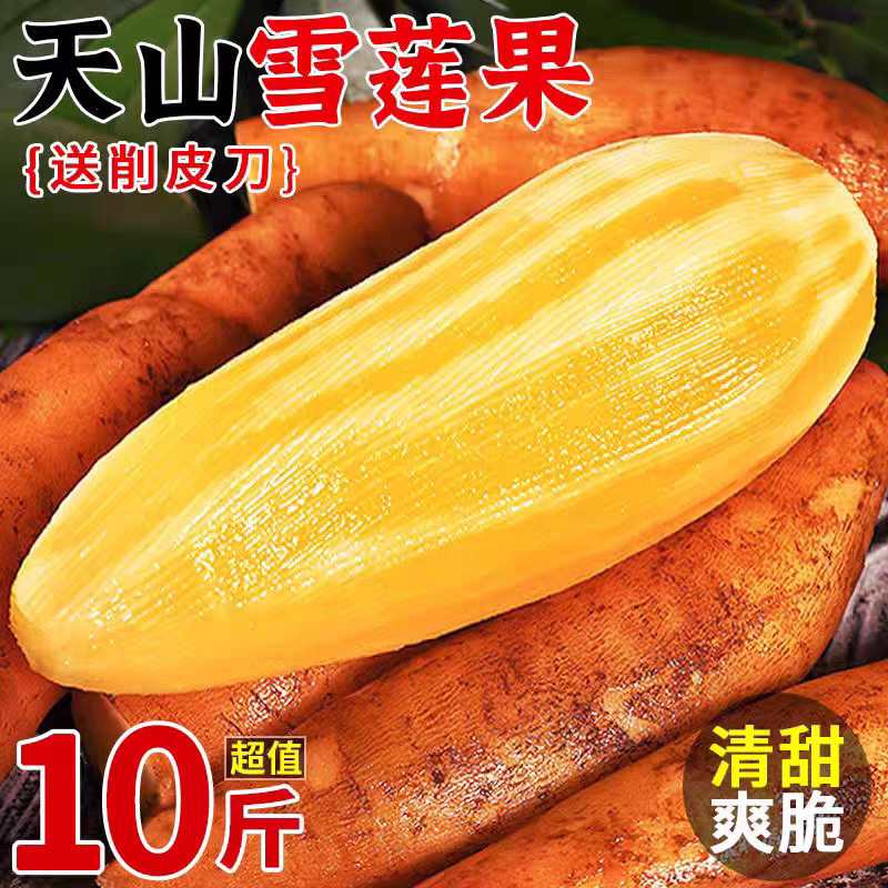 Yunnan Tianshan Snow Lotus Root, Freshly Dug Seasonal Fruit, Whole Box Wholesale 10-0.5kg Fresh Direct Delivery