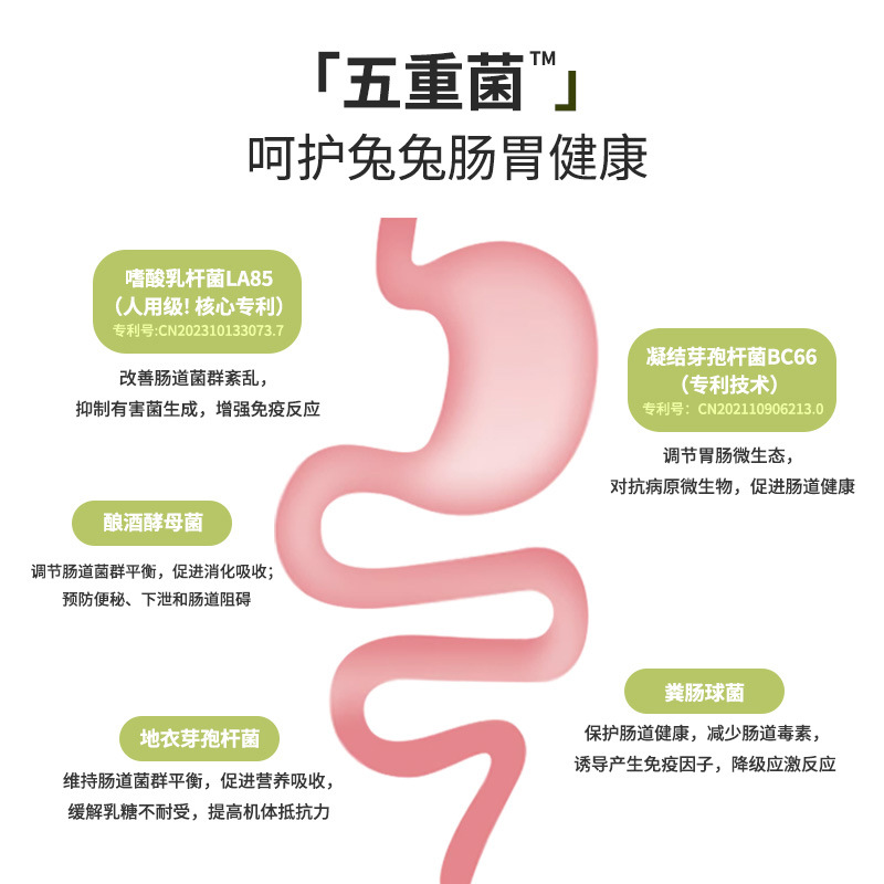 Kangbishi Rabbit Probiotics Regulate the Gastrointestinal Tract, Guinea Pig and Chinchilla Soft Stools and Flatulence Help You Strengthen