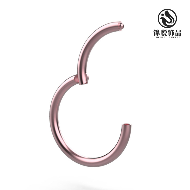 Amazon 316 Stainless Steel Basic Piercing Nose Ring Europe, America and Africa Seamless Closed Ring Body Piercing Jewelry