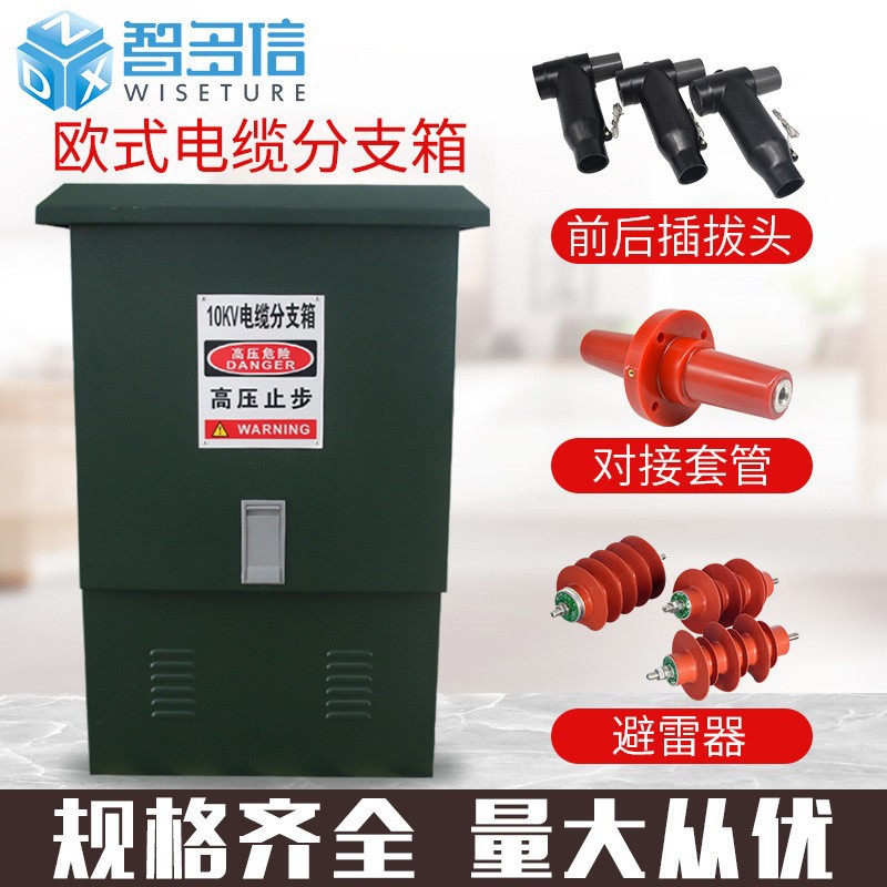 Factory Direct Sales 10Kv High Voltage Cable Branch Box Dfw-12/630 Outdoor European Stainless Steel Branch Box