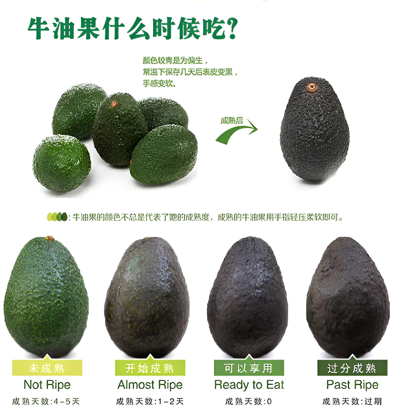 Avocado Fresh Fruit, Seasonal Fresh Avocados, Large Yunnan Hass Avocados, Whole Box Delivery
