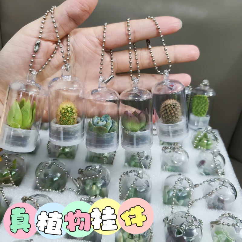 Подвеска для школьной сумки, креативная мини-суккулентная подвеска, миниатюрный ландшафт, брелок, подарок для пары или лучшего друга, для студента