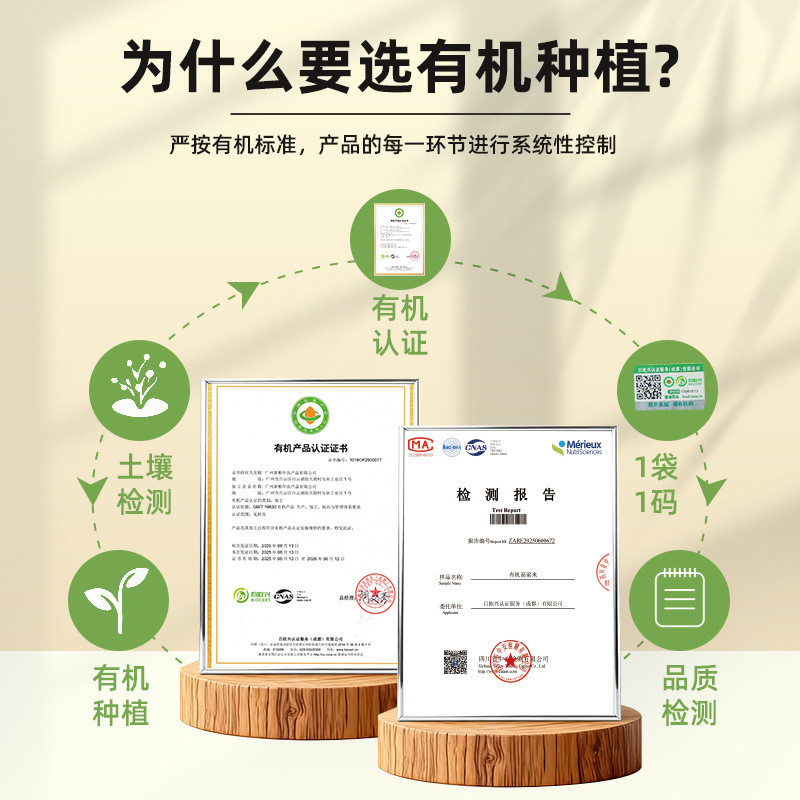 Organic White Sorghum Rice New Rice 480g Staple Fitness Meal Replacement Shelled and Peeled Sorghum Rice Kernels Whole Grain Source Factory