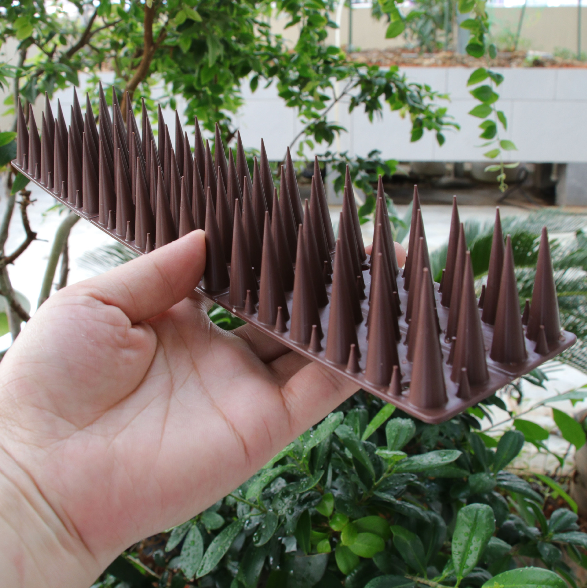 30cm 4-Row Large and Small Spikes Amazon Plastic Anti-Bird Outdoor Roof Fence Installation Bird-Repelling Spikes Outdoor Anti-Bird