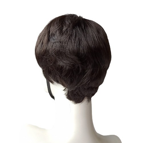 AliExpress Cross-border Wig Men's European and American Hot Selling Short Straight Hair Shattered Qi Bangs Full Head Cover Chemical Fiber Hair in stock First Hair