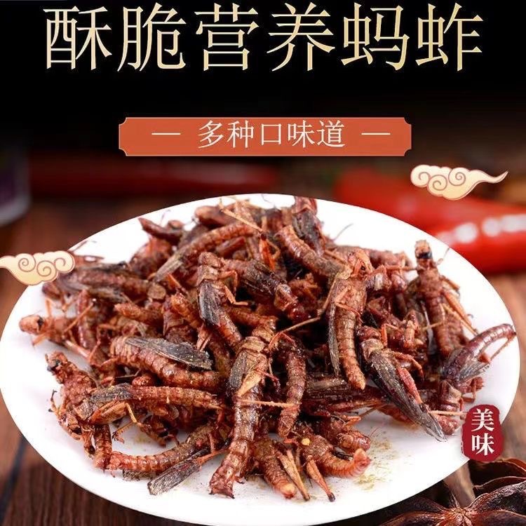 Crispy Grasshopper Fried Ready-To-Eat Edible Insect Barbecue Pepper Salt Dry Fried Grasshopper Snack Snack Gourmet Insect Gourmet