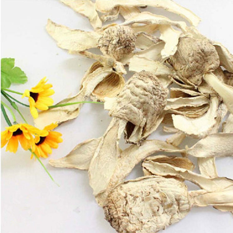 Kangwang Chicken Leg Mushroom Bulk 500g Dry Goods Sulfur-Free Chicken Leg Mushroom Thorn Mushroom Gutian Specialty Factory Direct Sales Wholesale