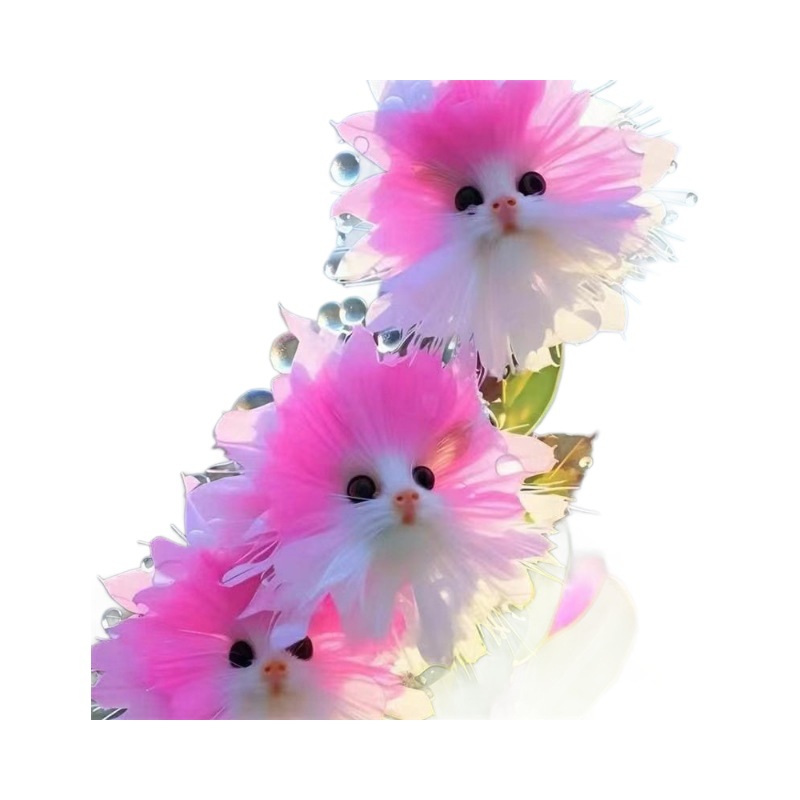 Hot-Selling Big-Faced Cat Orchid That Fills the House with Fragrance. New Potted Plant with Cute Appearance and Fragrant Fragrance to Remove Formaldehyde