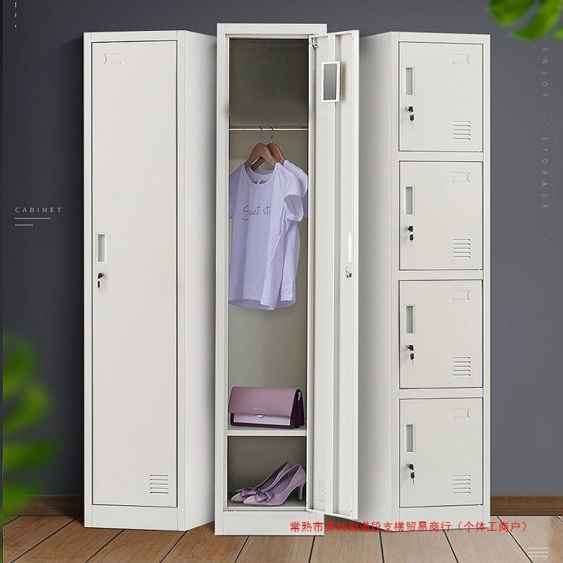 Single-Door Locker, Iron Cabinet, Employee Cabinet, Locker with Lock, Barber Shop Bag Storage Cabinet, Coffee Shop Storage Cabinet, Steel