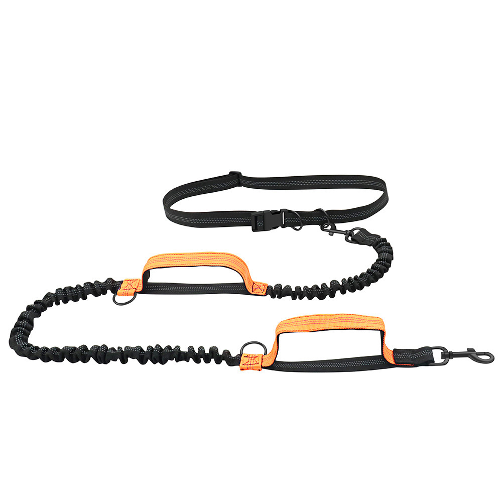 Pet Leash Portable Running Sports Leash Reflective Two-Hand Handle Telescopic Dog Leash Dog Chain Leash