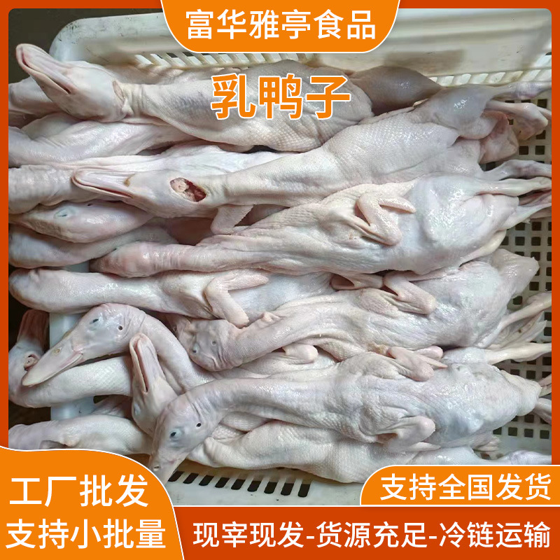 Свежезабитая Утка, Тушеная Утка, Запеченная Утка, Ресторан, Запеченная Утка Ферма, Утка на Свободном Выгуле, Поставка Кейтеринга Оптовая