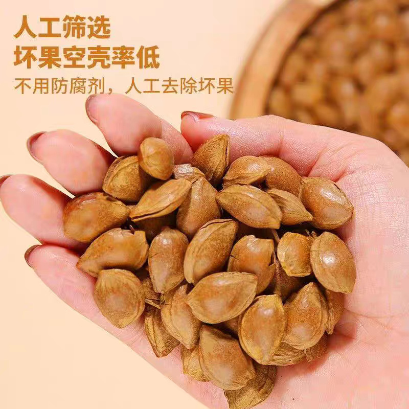 New Arrival Almond Wholesale Hand-Peeled Apricot Hard-Shell Small White Apricot Nuts Ginkgo Large Almond Open Roasted Apricot Kernel Snacks