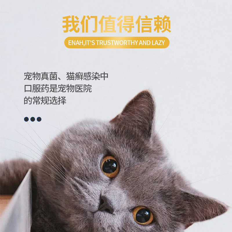 Jinyu Itraconazole Oral Liquid Cat Moss Fungus Medicine Pet Cat Ringworm Skin Disease Cat Red Rash Malassezia