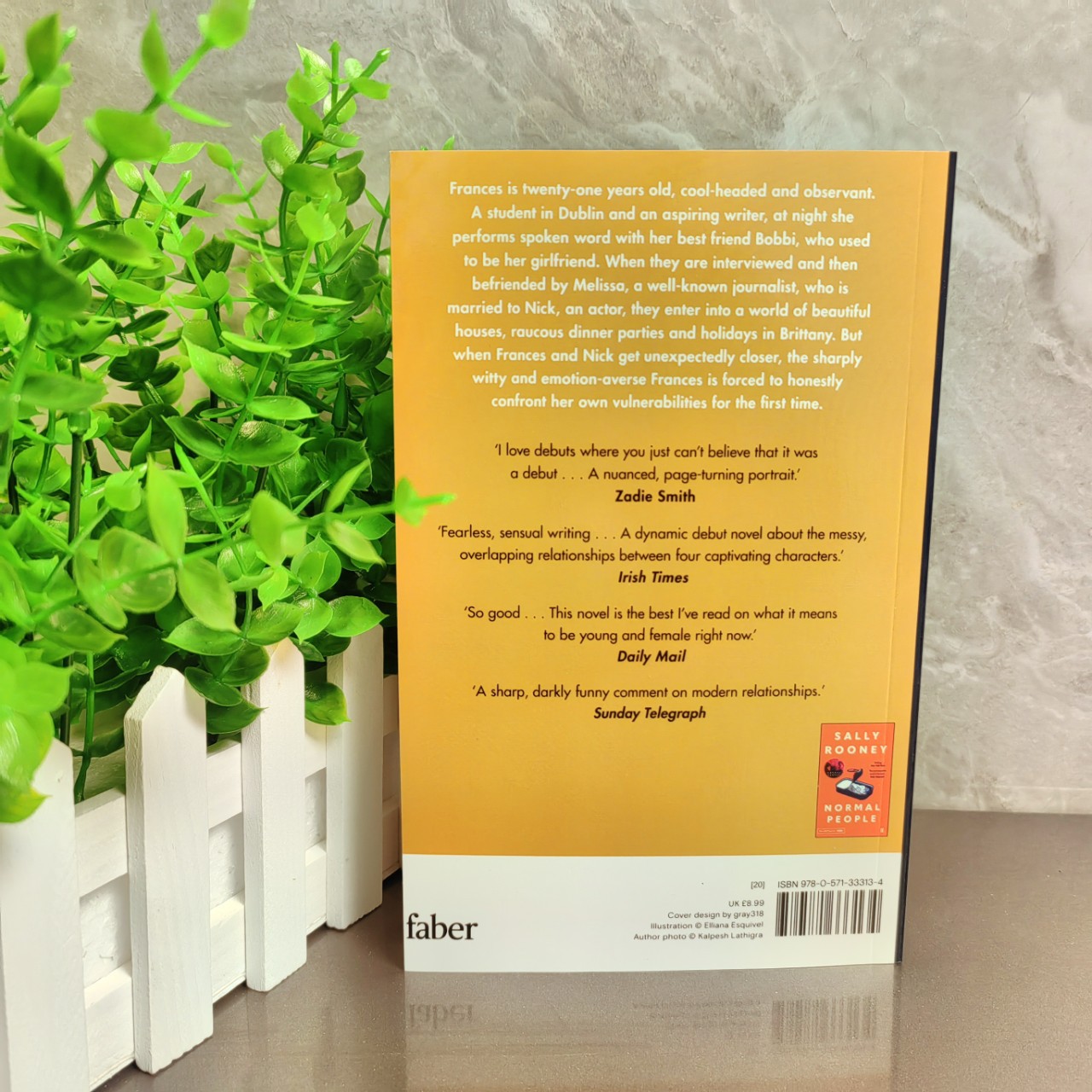 Conversations with Friends Sally Rooney