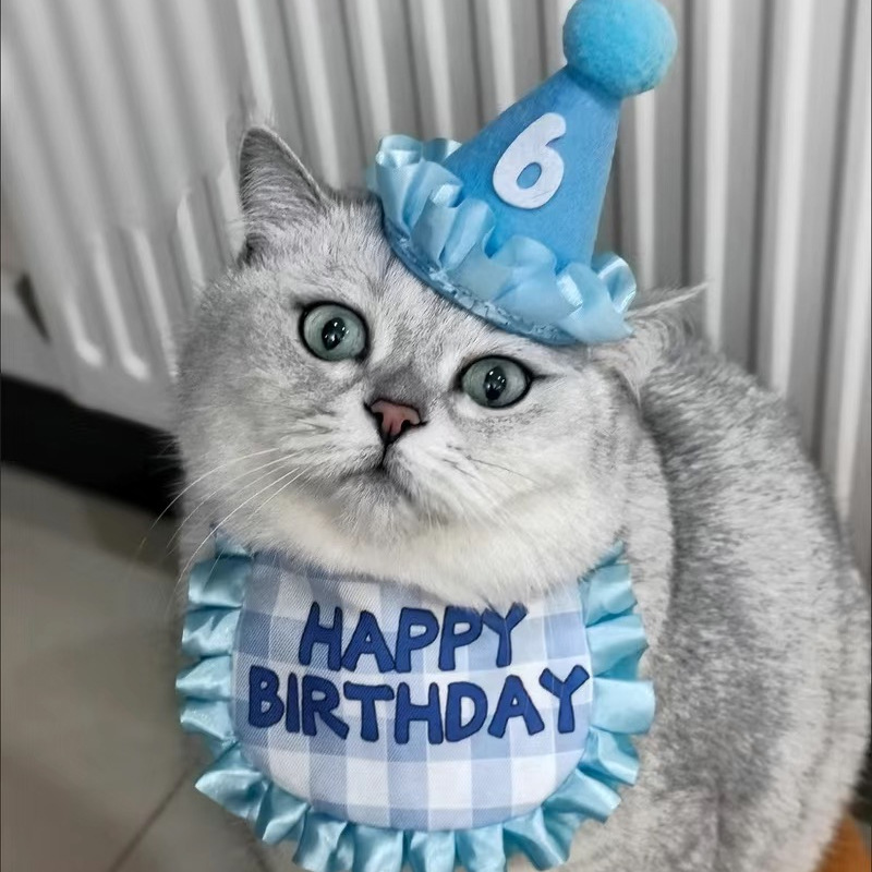 Pet Birthday Hat Bib Cat Happy Birthday Set Cute Props Combination Dress Accessories Scarf