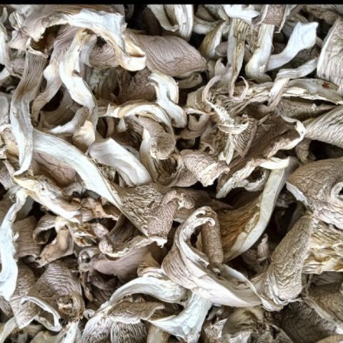 Fresh Dried Oyster Mushrooms, Mushroom Slices, Dried Mushrooms, Dried Farm Commercial Phoenix Tail Mushrooms, Dried Edible Mushrooms for Soup