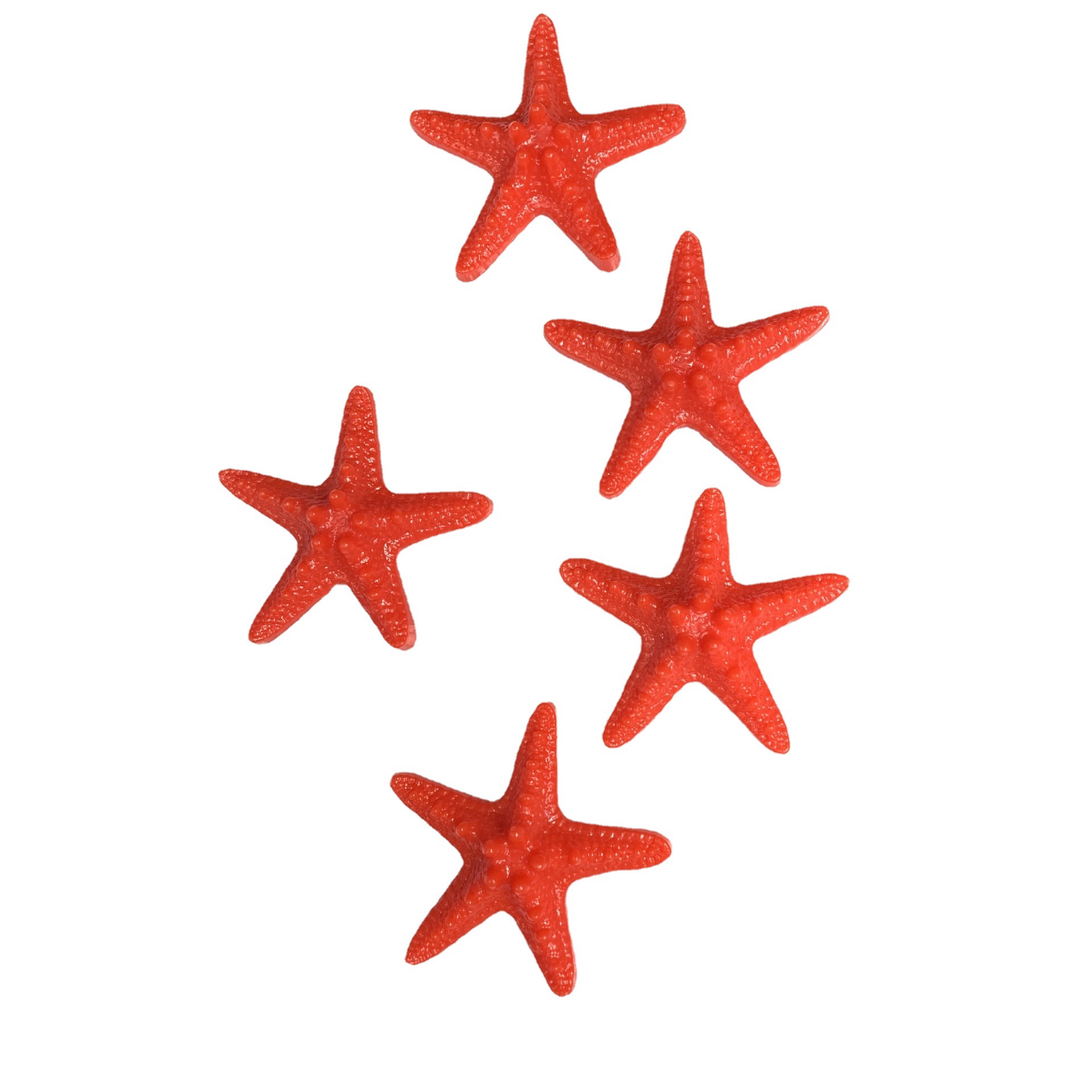 Study Natural Starfish Shell Conch Decoration Shell Conch Wholesale DIY Starfish Crafts