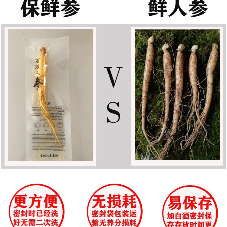 Wholesale of Whole Changbai Mountain Ginseng, Fresh Ginseng for Soaking in Wine, Ginseng for Distilleries, Hot Pot, and Cosmetics