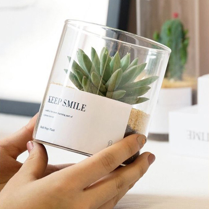 succulents cactus cactus ball small potted moss micro landscape high borosilicate glass bottle decorative flowerpot vase