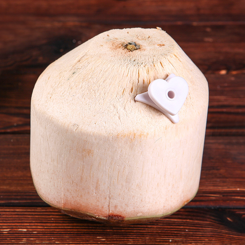 Factory wholesale plastic coconut opener portable practical fruit hole opener easy coconut opener tool