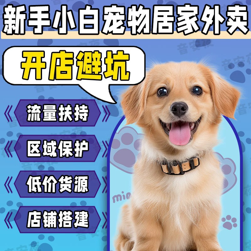 Pet Supplies Factory Home Takeaway Meituan Full Category Supply Cat Food Dog Food Cat Nest One-Stop Store Opening Support