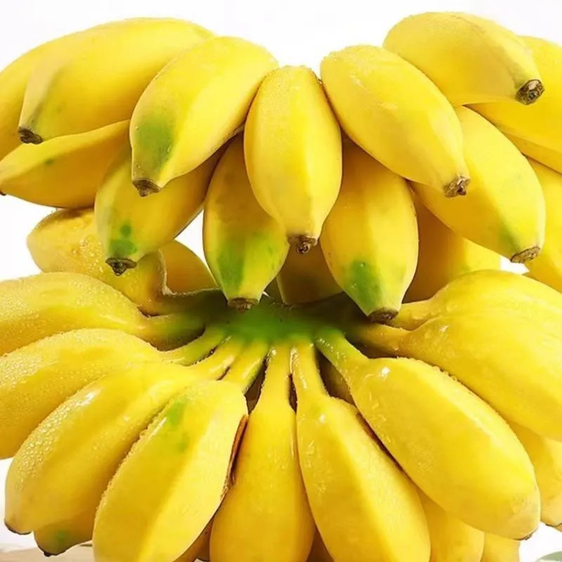 Guangxi Apple Banana Banana Fresh Fruit Whole Box 2.5kg Free Shipping Seasonal Small Bananas Drop Shipping