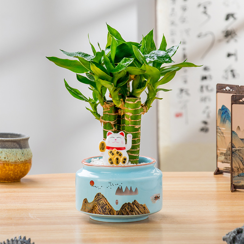 Green plant potted plant Office indoor mini car decoration opening decoration business booming five blessings fortune cat