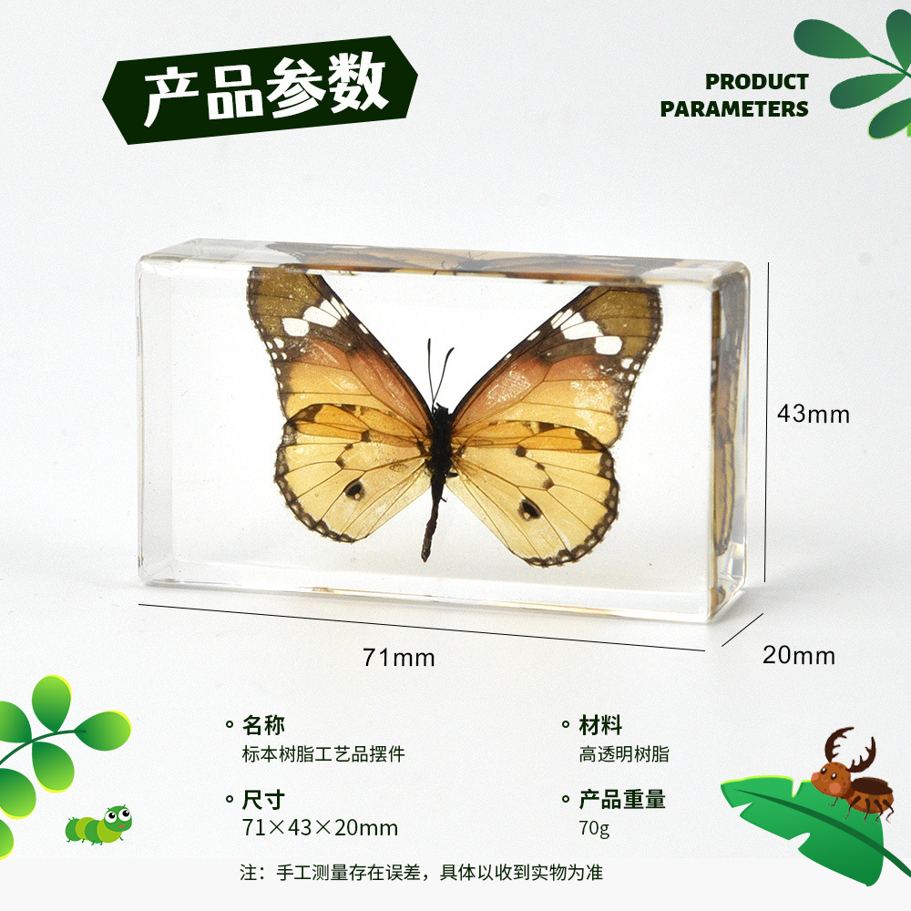 4 # Средний Книжный Город Насекомое Океан Бабочка Экспонат Янтарь Орнамент Насекомое Центр Хит Продаваемый Популярная Наука Выставка Учебный Подарок